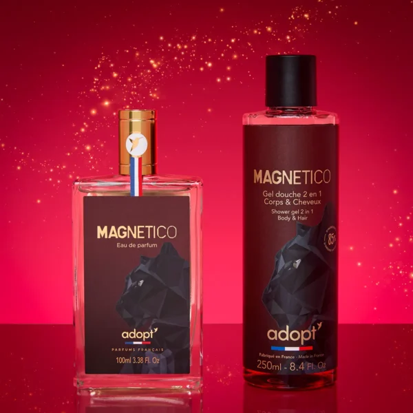 magnetico_kit Magnetico